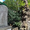「太子堂　円泉寺〜八幡神社」（東京都世田谷区）