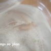 カブトエビ3回目の飼育始めました。～自由研究も終わったよ！～