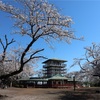 多摩川桜百景　－18. 生田緑地・枡形山－