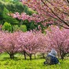 ８０歳の生き方を考え直す