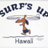  Moni Honolulu モニホノルル 【ハワイ限定・Hawaii直輸入】 日焼けスヌーピー・ポストカード・ギフトカード SURF'S UP 
