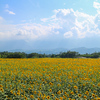 夏の山梨ドライブ