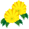 「お正月に飾る花はどんな花が良いのか？」について考える