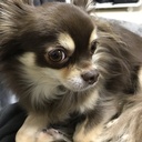 気ままに本要約ブログ