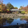 秋の庭園巡り・伊豆編①。三島・楽寿園、隆泉苑（佐野美術館庭園）の紅葉