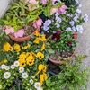 花に誘われて。。。