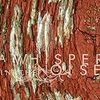 A Whisper in the Noise 「To Forget」