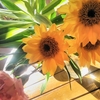  "ときめく" という心の動きは ウニヒピリをHappyにしている という事♡ 