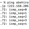 Meraki MX FQDNを使ったFirewallルール　基本設定、動作編