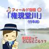 【スポット】権現堂川（行幸湖、権現堂調節池）埼玉県と茨城県に跨る釣り場。バス、ヘラ、ワカサギを釣るのもよし、近隣の権現堂桜堤も見事。