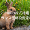 2023年の株式相場｜フリーランス医師投資家の雑感