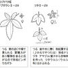 ヤブガラシとツタ（アマヅル）