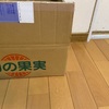 秋刀魚/忘れていた柿が届いた