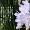 こころの道しるべ（258）自分の使命