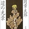 海辺の光景　安岡章太郎　を読んだ　感想　レビュー