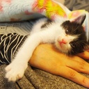 膠原病のこと、諸々