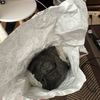 ダイソーで見つけた新感覚：おにぎりを包むシートの魅力