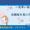 PT 和田町・元朝桜を見に行こう！（2020年01月30日）