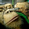 まず、指導者が変わる事、変わらなければ替える事