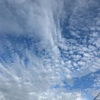 実家の空