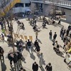 North Square Market