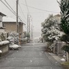 ４年ぶり(?)の大雪 !?