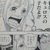 One Piece ブログ 八十巻 第796話 兵隊さんの決意 感想 漫画ワンピースの感想を1話ずつ綴っていくブログ