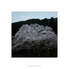 Gifu -2024.04-