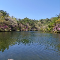 春ウララ、六甲摩耶山でMAYASONG♪