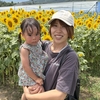 ひまわり通信　東を向いて満開