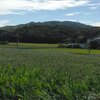 茶臼山（ 290.9ｍ 愛知県西尾市 ）