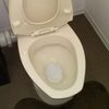 トイレ　詰まり　トイレットペーパーが詰まった　ローポンプで解消