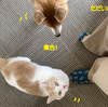 優しさのおかげです