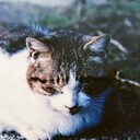 昭和40年生まれの日記