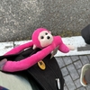 まだ疲れの抜けない火曜日。