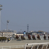 【 ばんえい十勝 （帯広競馬場）】 世界でここだけの迫力あるレースは必見です！