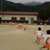 みかん狩り日和☀