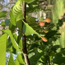heasuke3’s blog