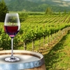 Join Wine Tours in Willamette Valley For a Wonderful Experience 