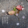芭蕉翁のことば