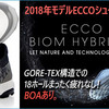 Eccoシューズ2018年新製品が紹介されました。。足の裏が痛い人には持ってこいのクッションソールです。。気持ちいい！！