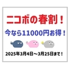 パナソニックのコミュニケーションロボット「ニコボ」春割キャンペーン！ 1万1000円オフでお得に購入！
