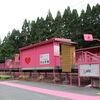 智頭急行　恋山形駅