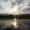 梅雨のお出かけ：頑張って夕日と紫陽花にチャレンジしてみたものの…惨敗