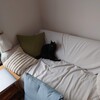 猫ちゃんとコアラマットレスのソファーベッド