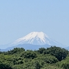 狭山の黒い闇に触れる  1176  
