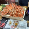 福井のスッキリ時間：本ズワイガニと日本酒の饗宴🦀🍶