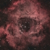 NGC2237-9, 2246 薔薇星雲