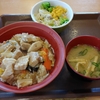 すき家　豚トロ中華丼