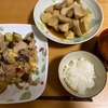 ナスと豚肉の味噌炒め/里芋の煮っ転がし　献立